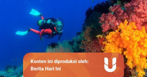 Apa yang Dimaksud Landas Kontinen dan Implikasinya