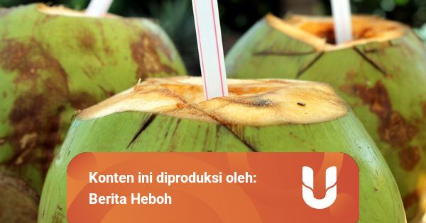 5 Kondisi Orang Yang Dilarang Minum Air Kelapa Kumparan 