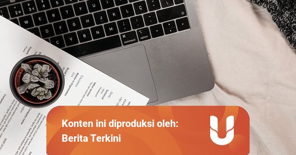 Contoh CV Fresh Graduate Tanpa Pengalaman Kerja | kumparan.com