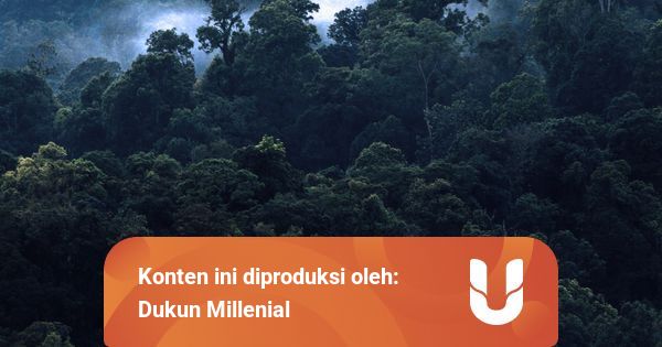 Halimun Kabut Yang Hidup Kumparan Com