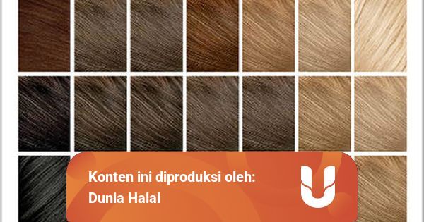 Cara Mengetahui Cat Rambut Yang Halal Kumparan Com