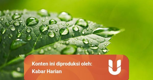 Perubahan Wujud Benda Gas Menjadi Cair Disebut Apa Kumparan Com Perubahan Wujud Benda Gas Menjadi Cair Disebut Apa Kumparan Com