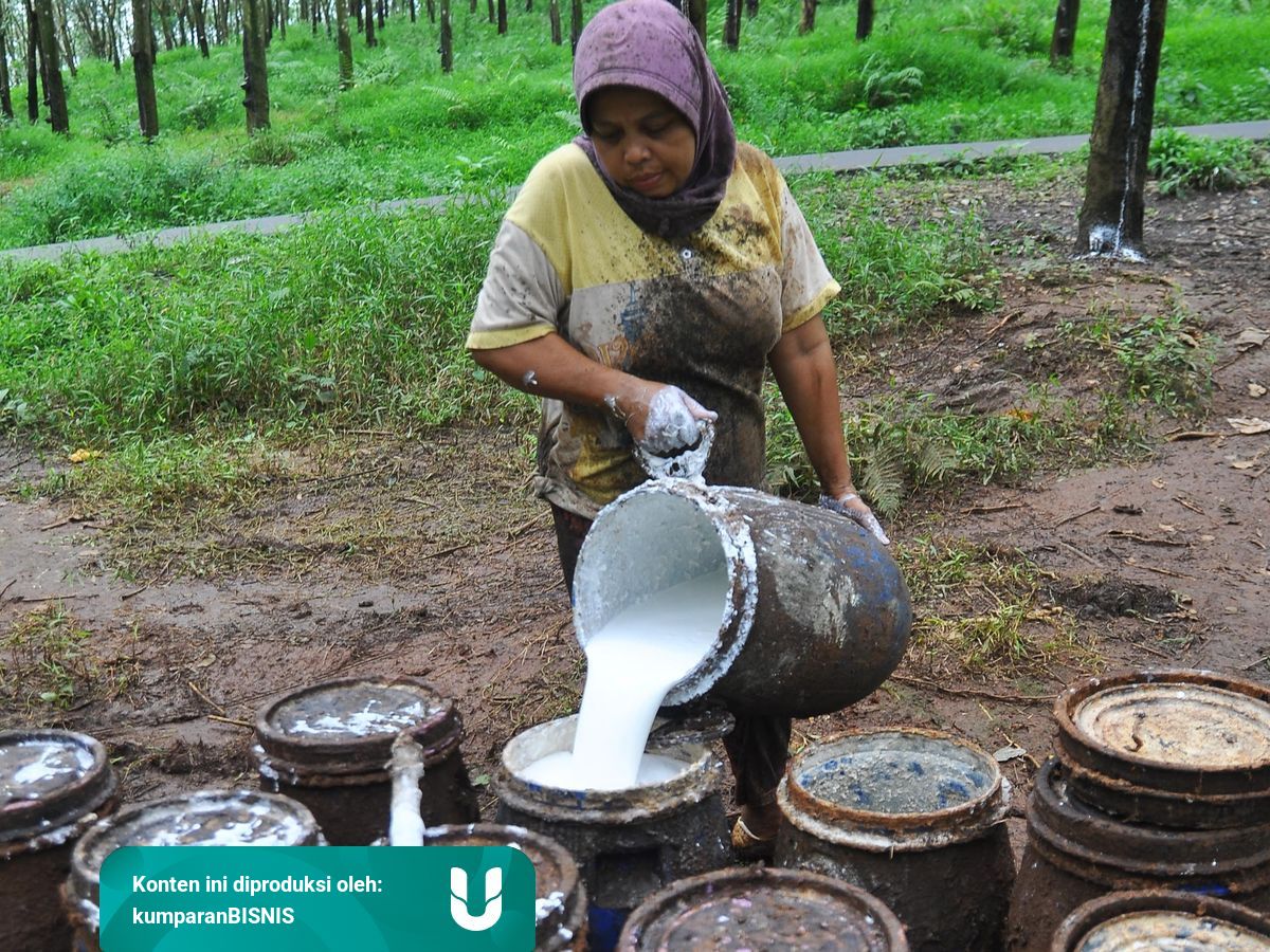 Frustrasi Harga Anjlok Thailand Akan Tutup 240 000 Ha Lahan Karet Kumparan Com
