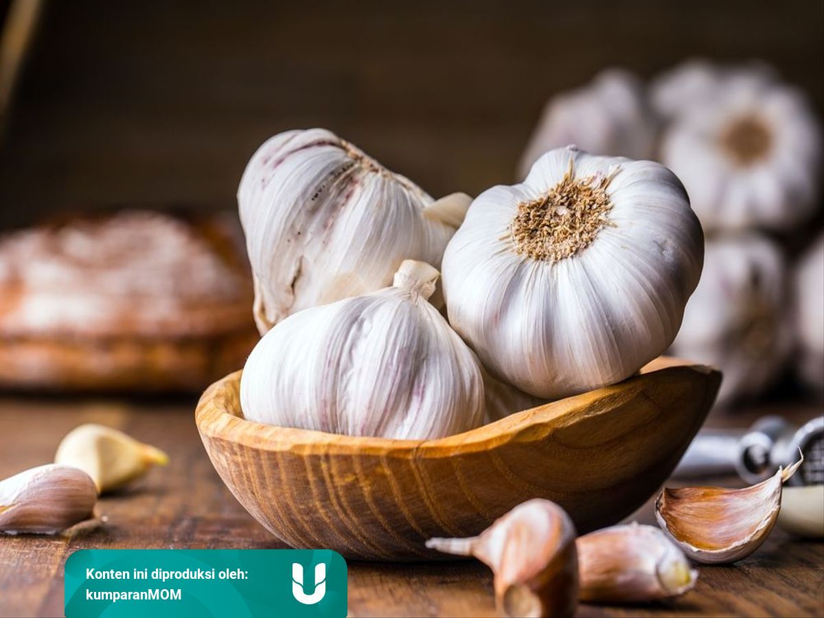 Bkah Ibu Menyusui Makan Bawang Putih Kumparan 