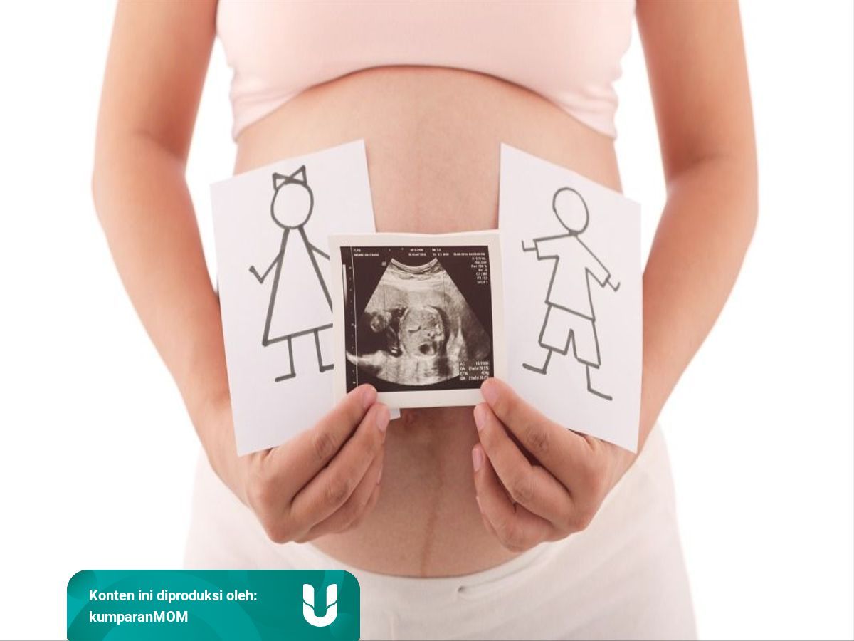 Bagaimana Dan Kapan Jenis Kelamin Bayi Dalam Kandungan Terbentuk Kumparan 