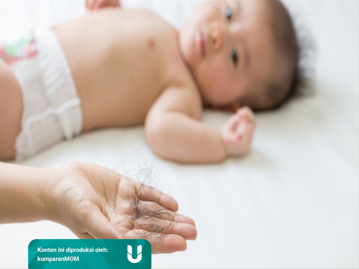 Hubungan Bayi Main Ludah Rambut Rontok Dan Ibu Menyusui Kumparan 