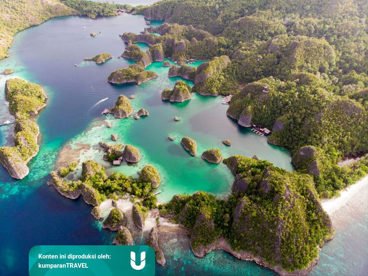 Berlimpah Kekayaan Alam Ini Kondisi Geografis Pulau Papua Berdasarkan Peta Kumparan Com