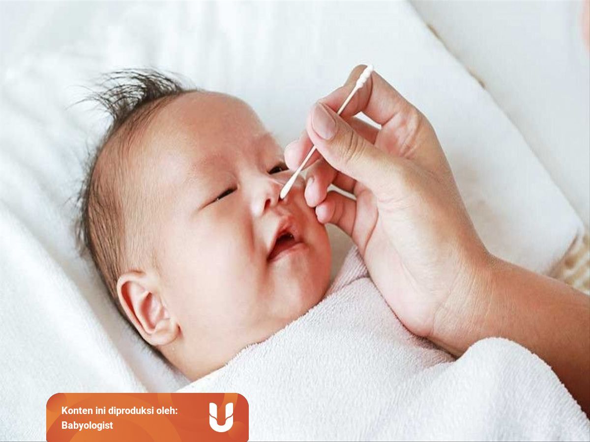 Batuk Pada Bayi Umur 2 Bulan Kumparan Com