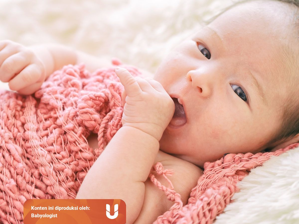 Normalkah Bayi Asi Jarang Buang Air Besar Kumparan 