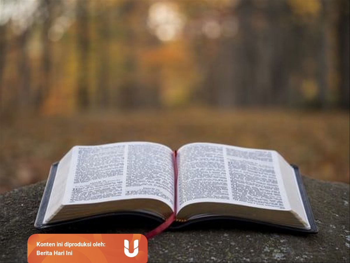 Buku Non Fiksi Pengertian Unsur Dan Contohnya Kumparan Com Buku Non Fiksi Pengertian Unsur Dan Contohnya Kumparan Com
