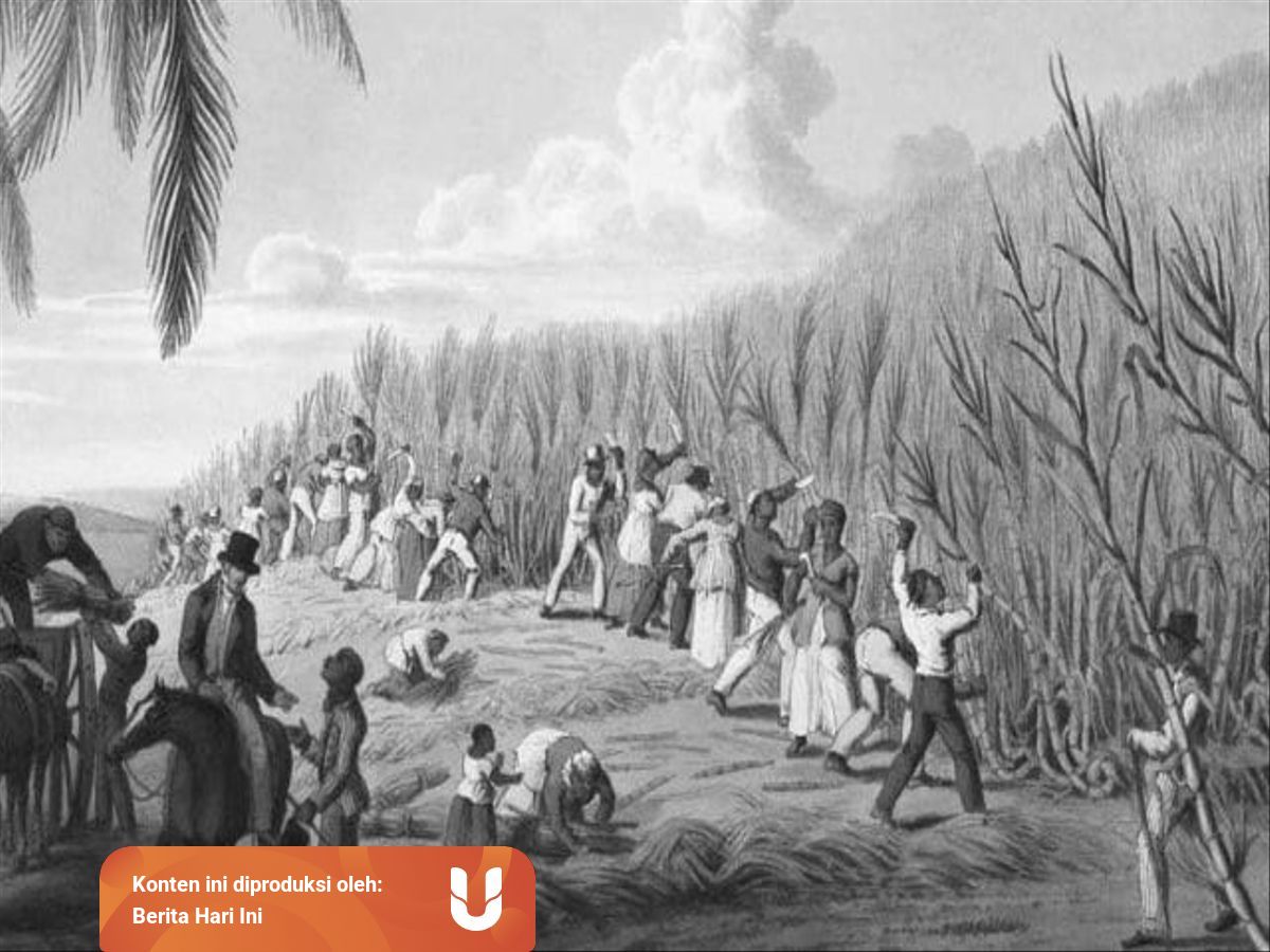 Kondisi Bangsa Indonesia Sebelum Tahun 1908 Yang Penuh Penderitaan Kumparan Com