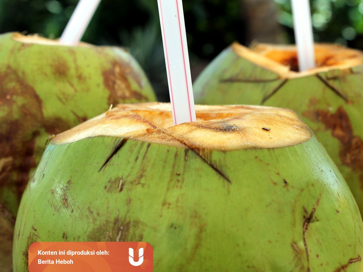 5 Kondisi Orang Yang Dilarang Minum Air Kelapa Kumparan 
