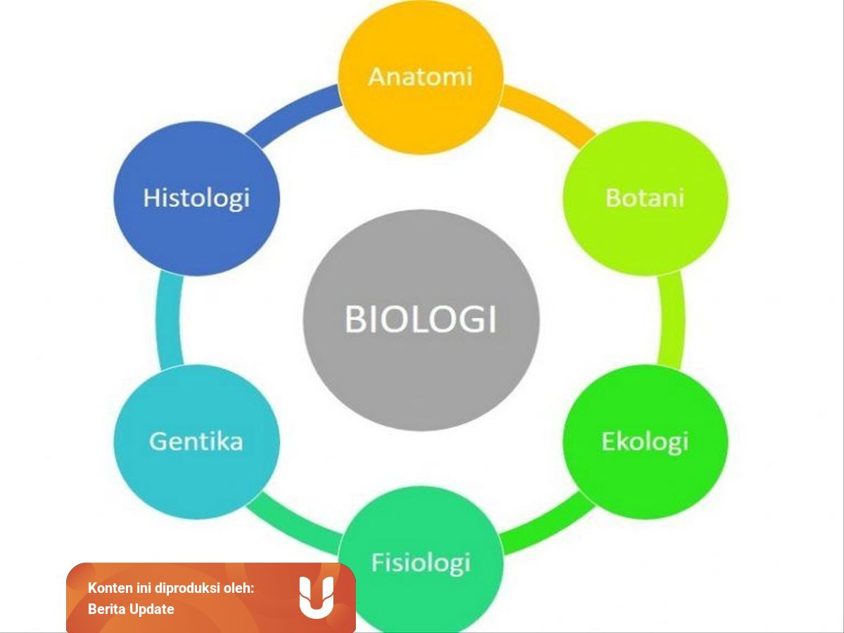 Cabang Ilmu Biologi Ada 10 Cabang Untuk Dipelajari Anak Ipa Kumparan Com Cabang Ilmu Biologi Ada 10 Cabang Untuk Dipelajari Anak Ipa Kumparan Com