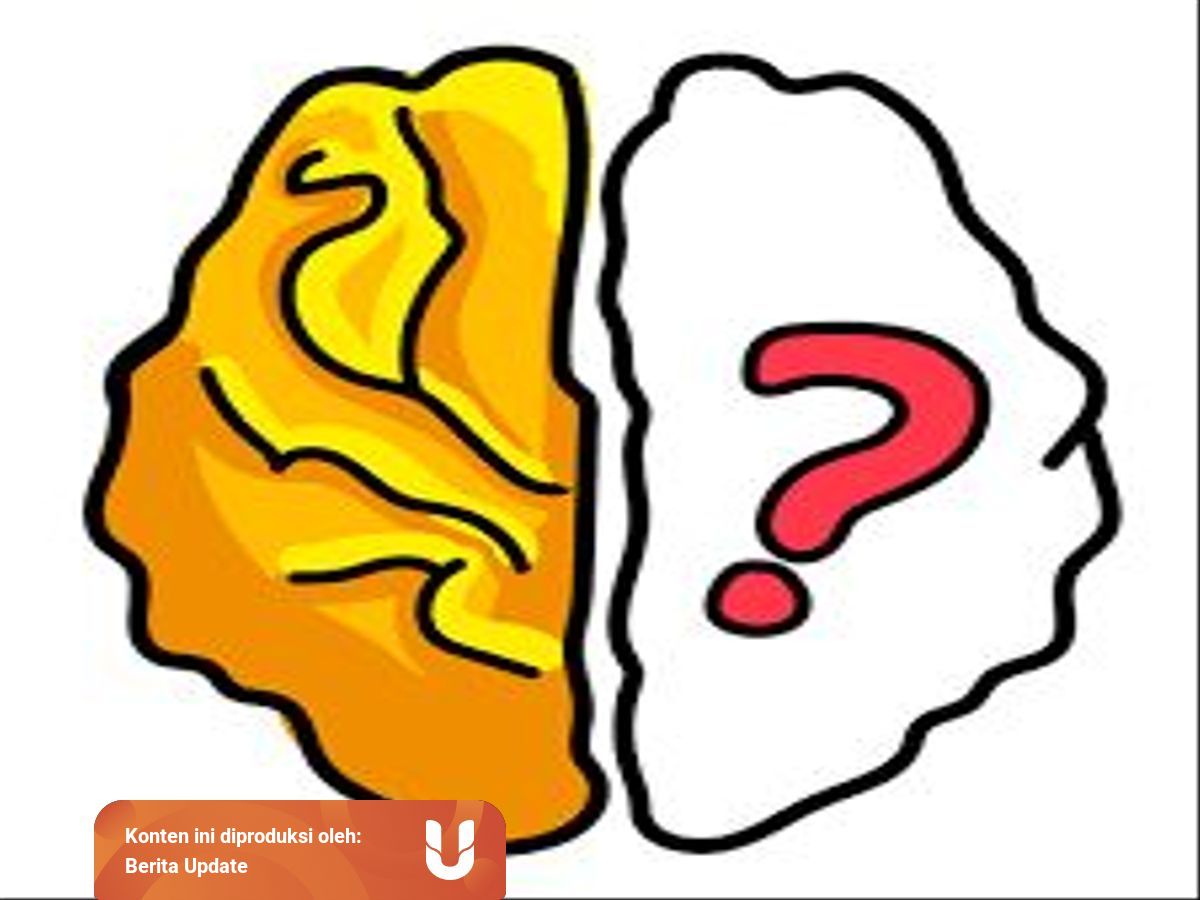 Kunci Jawaban Brain Out Level 1 223 Terlengkap Kumparan Com