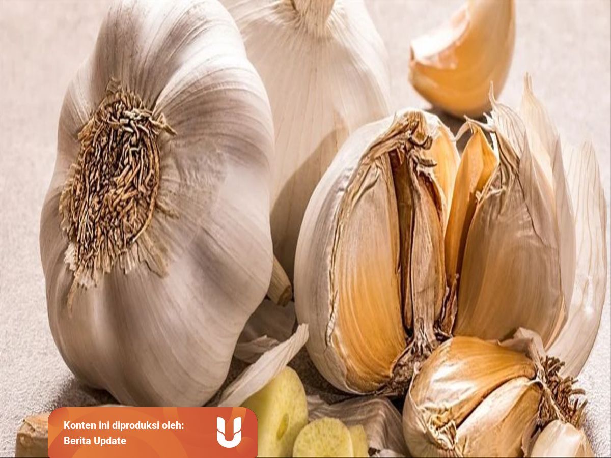 Cek Manfaat Bawang Putih Untuk Ibu Hamil Muda 
