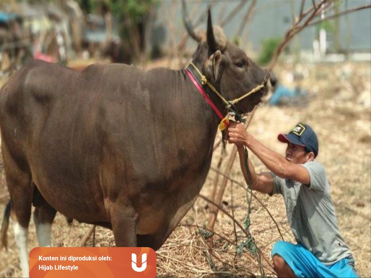 Cara Menyembelih Hewan Agar Menjadi Halal Sesuai Syariat Islam Kumparan Com