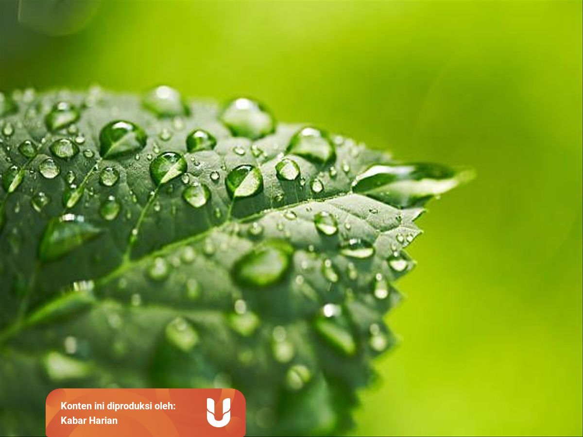 Perubahan Wujud Benda Gas Menjadi Cair Disebut Apa Kumparan Com