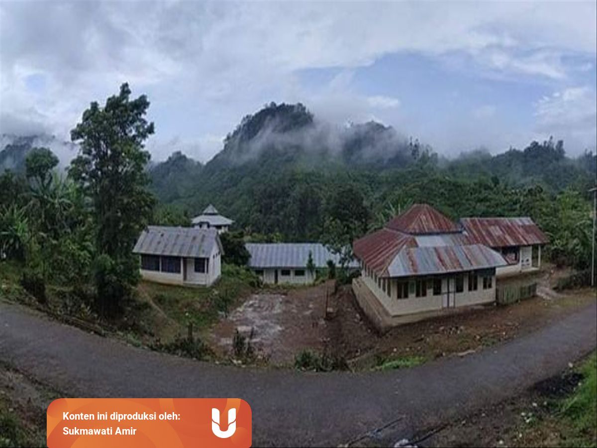 Napas Panjang Transmigrasi Melalui Revitalisasi Kumparan Com