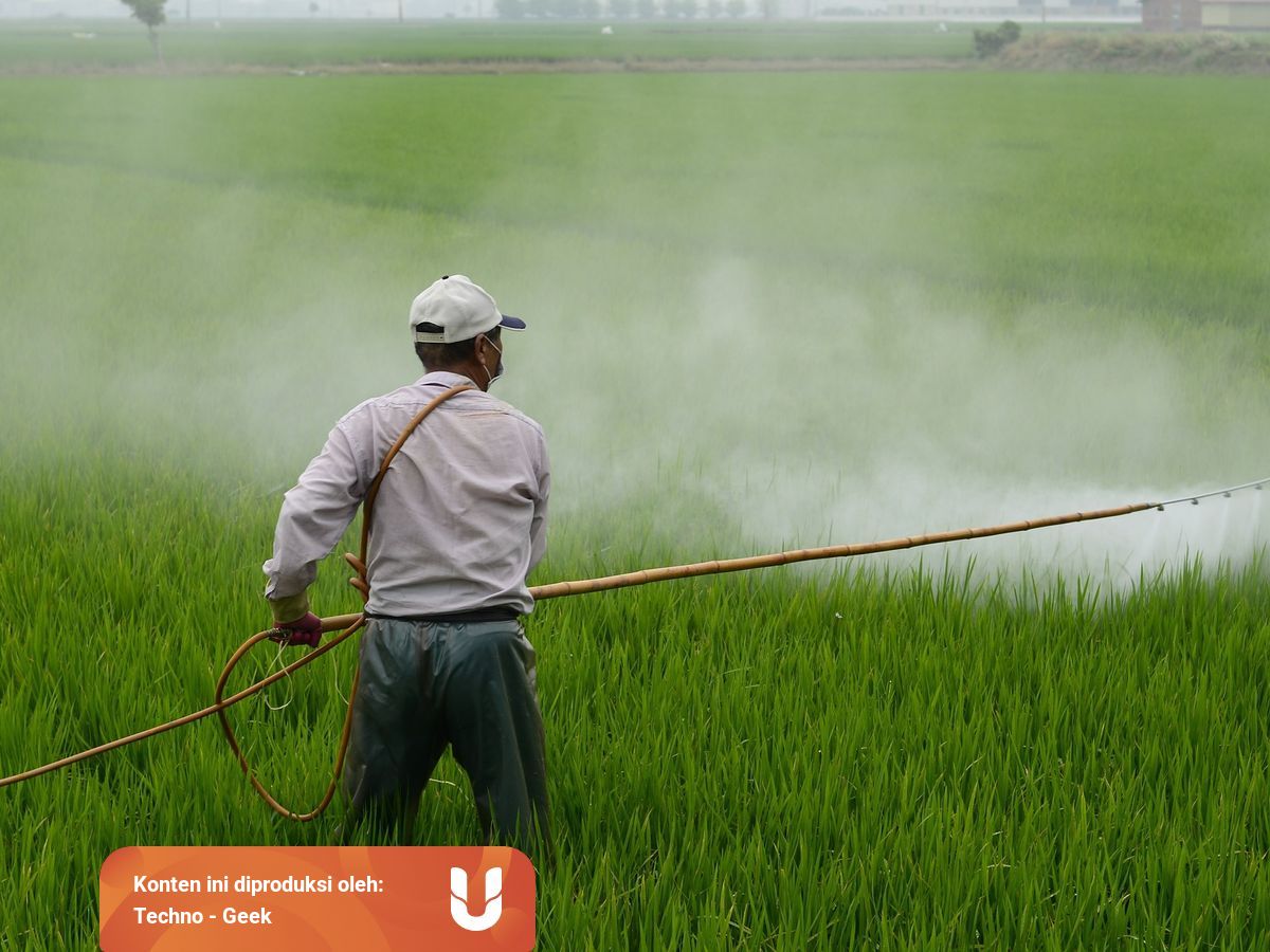 Tips Memilih Pestisida Yang Tepat Kumparan Com