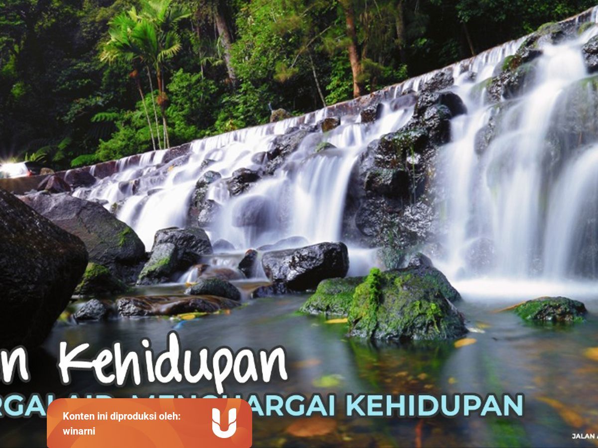 Tumbuhan Sebagai Penjaga Ketersediaan Air Kumparan Com