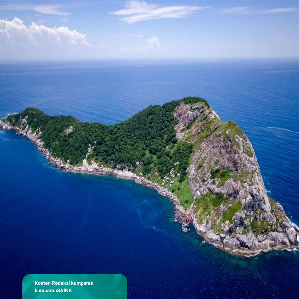 Ini Pulau Paling Berbahaya di Dunia: Banyak Ular Beracun | kumparan.com