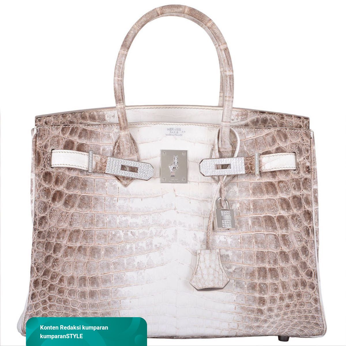 hermes himalayan birkin