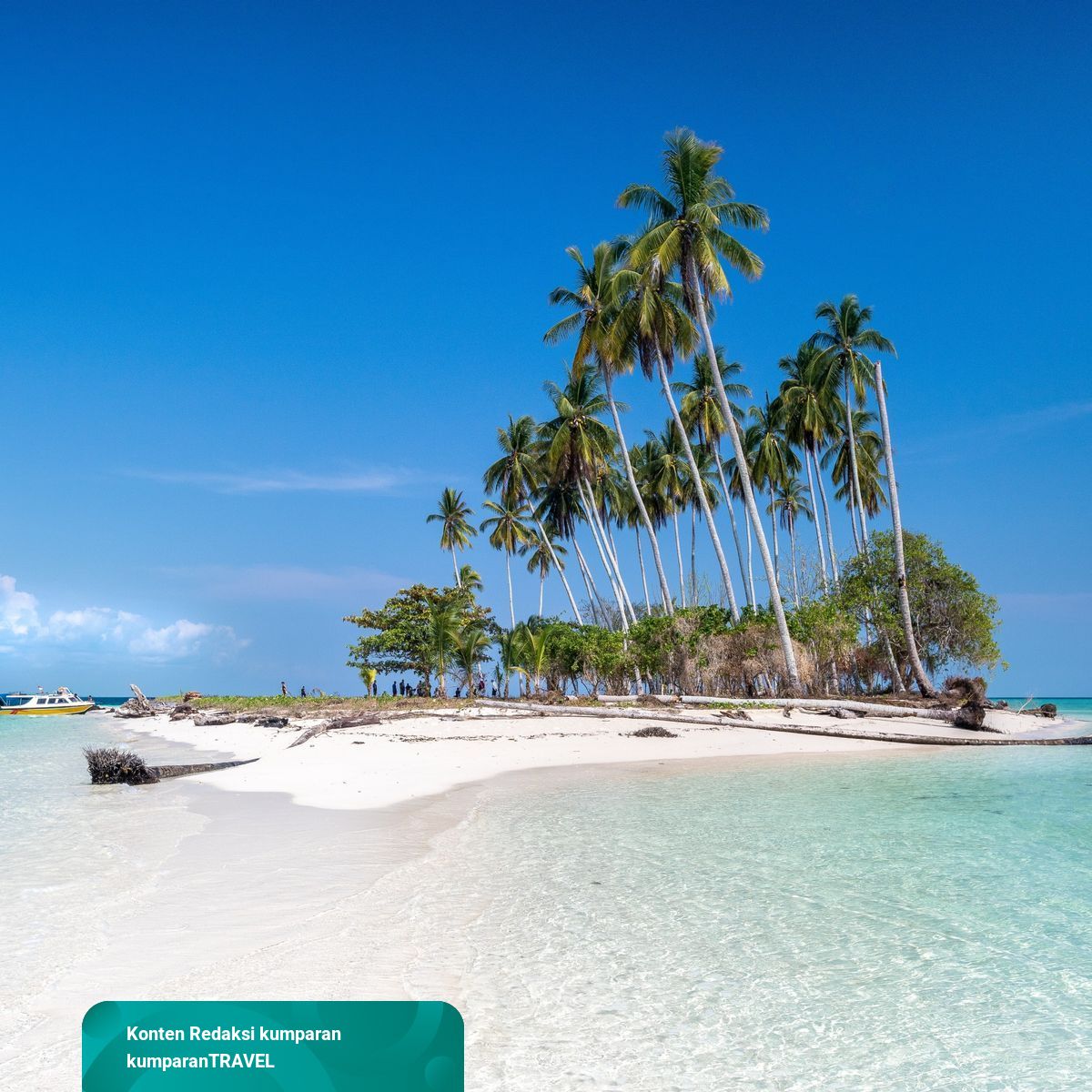 Kondisi Geografis Pulau Kalimantan, Wilayah Terbesar ke-2 di ...