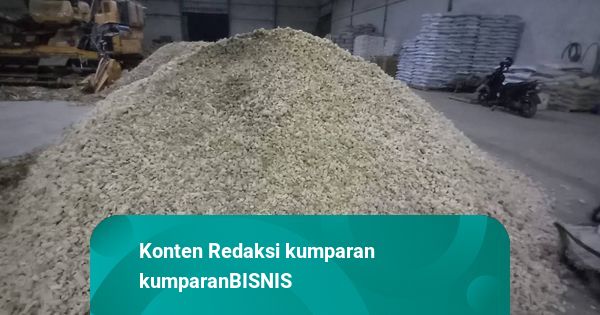 Bapanas Suplai 20 Ribu Ton Jagung Bakal Pakan Ternak di Jawa-Kalimantan