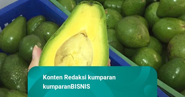 Legitnya Bisnis Alpukat Online, Raup Omzet Rp 100 Juta per Bulan