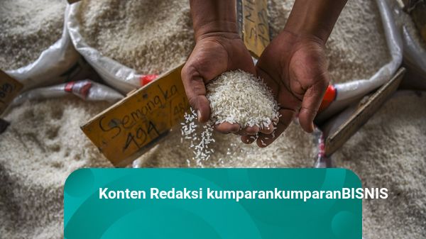Ombudsman Nilai Keputusan Pemerintah Impor Beras Tahun Ini Kurang Matang