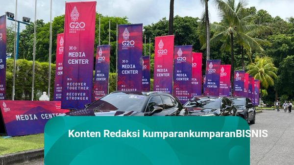Ketua Kadin: Insentif Kendaraan Listrik Harus Sejalan dengan Target Energi Hijau