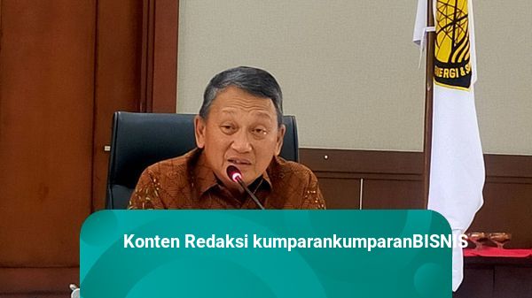 Larangan Ekspor Bauksit Akan Digugat WTO? Menteri ESDM: Hal yang Biasa