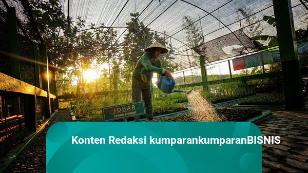 Jalankan Industri Hijau, 8 Pabrik SIG Raih Penghargaan Kemenperin