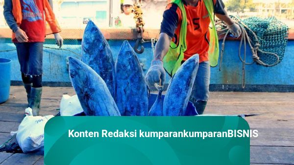 KKP Lepas Ekspor 25 Ton Tuna Ternate ke Thailand