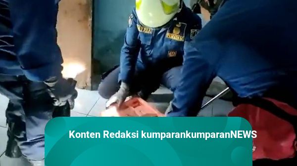 Petugas Damkar Evakuasi Seekor Ular dari Rumah Warga di Cakung