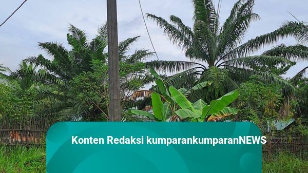 Seorang Pria Ditemukan Tewas di Langkat dengan Luka Bakar di Dada