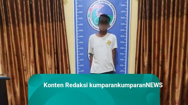 Polisi Tangkap DPO Kasus Narkoba, Diamankan saat Angkut 147 Kg Ganja di Medan