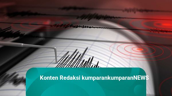 Gempa 4,3 Magnitudo Guncang Jayapura