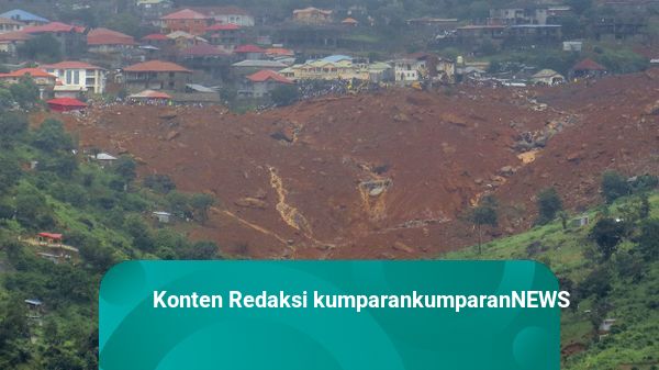 Longsor di Kamerun, 15 Orang Tewas