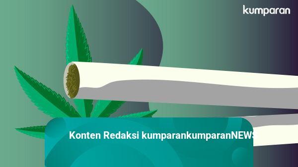 Polisi Tangkap Kurir Ganja 1 Ton di Medan