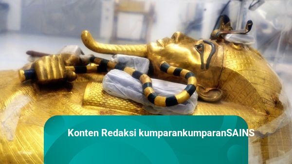 Begini Perawakan dan Bentuk Wajah Firaun Tutankhamun