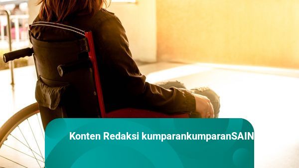 Canggih! Peneliti Bikin Kursi Roda yang Bisa Dikendalikan Pakai Pikiran
