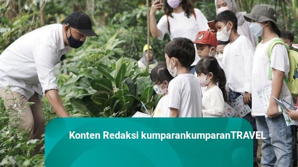 Tarik Banyak Wisatawan, Kebun Raya Bogor hingga Bali Buat Inovasi Nuansa Edukasi