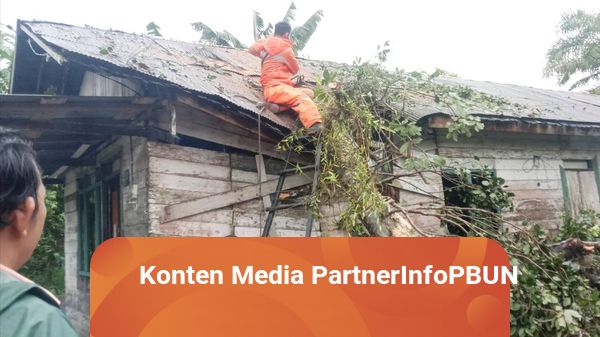 Rumah Warga di Pangkalan Bun Jebol Usai Ditimpa Pohon Tumbang