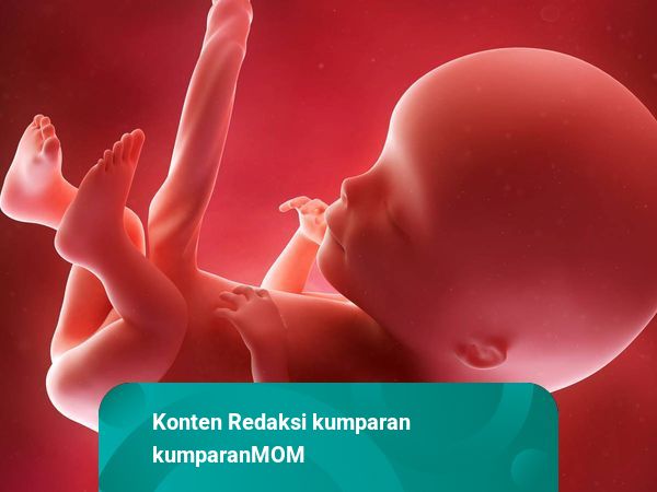 pergerakan bayi dalam kandungan