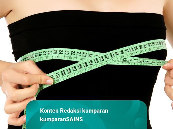 Studi: Pria yang Suka Payudara Besar Cenderung Miskin