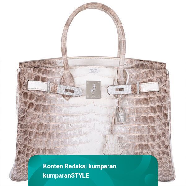Tas hermes birkin himalayan crocodile clearance