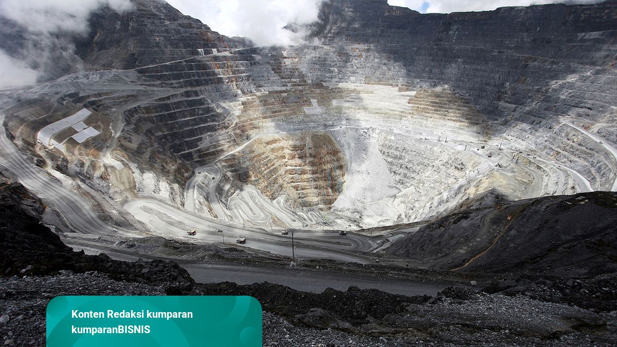 Sudirman Said Ungkap Pertemuan Rahasia Jokowi - Bos Freeport ...