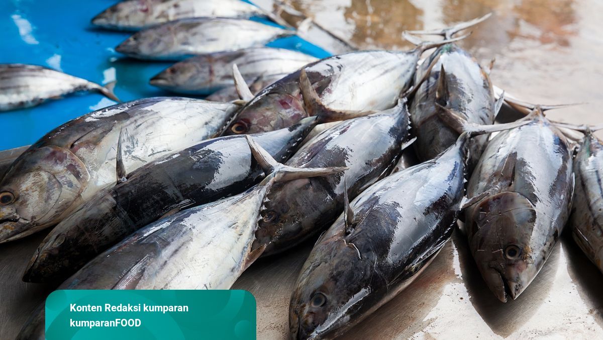 73 Ikan Air Laut Termahal Di Dunia Gratis Terbaik
