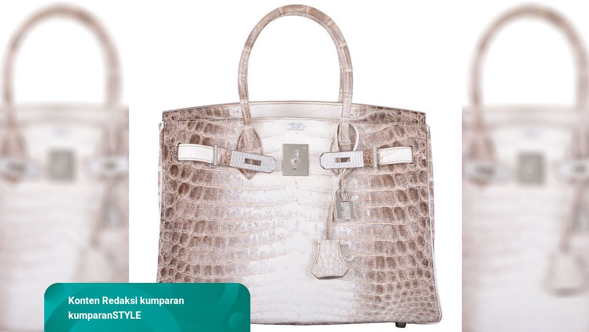 hermes himalayan birkin